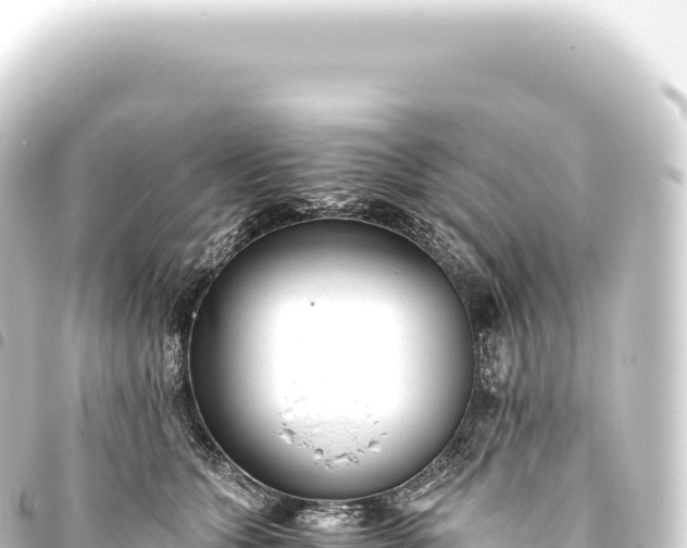 X0000093770563200710301208