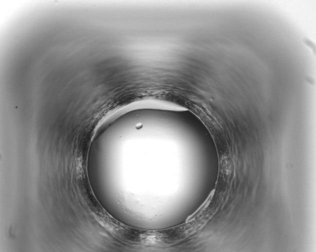 X0000093770564200710301208