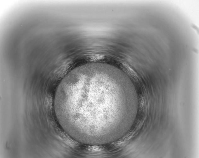 X0000093770565200710301208