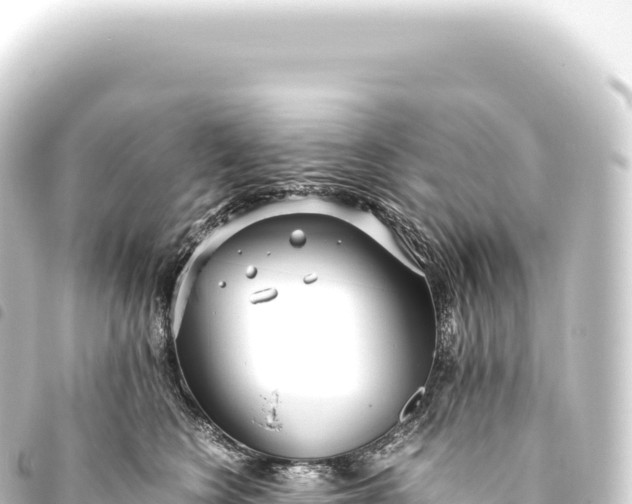 X0000093770566200710301208