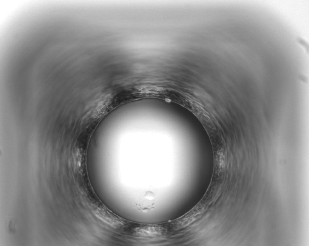 X0000093770567200710301208