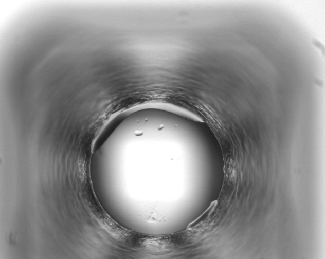 X0000093770568200710301208