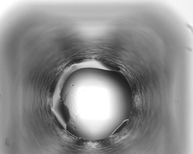 X0000093770570200710301208