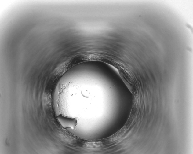 X0000093770571200710301208