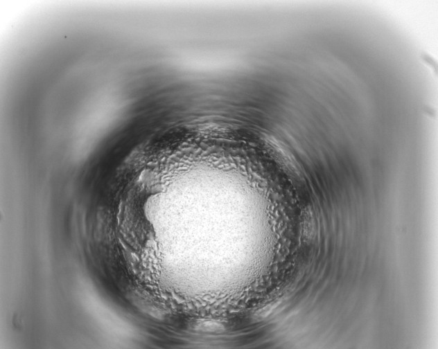 X0000093770573200710301208