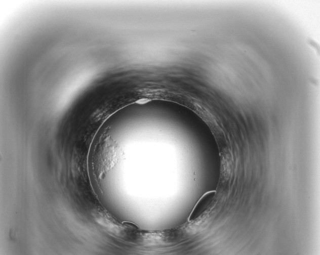 X0000093770574200710301208