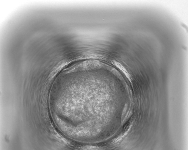 X0000093770577200710301207