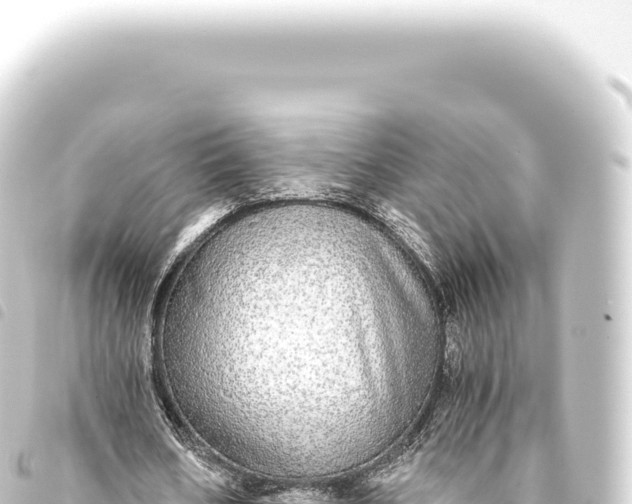 X0000093770578200710301207