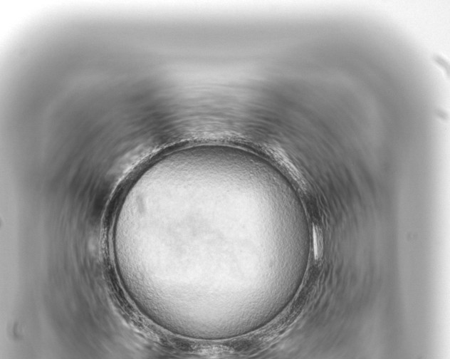 X0000093770579200710301207