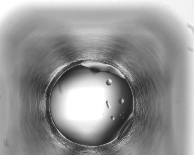 X0000093770580200710301207