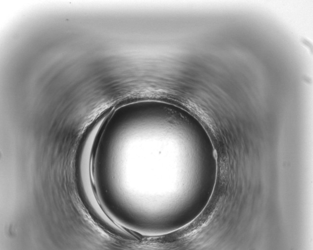 X0000093770581200710301207