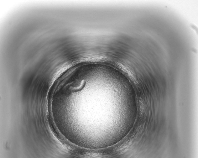 X0000093770582200710301207