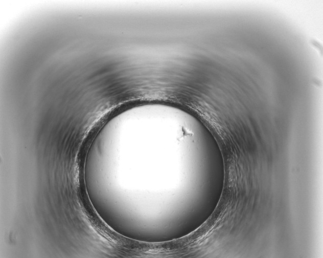 X0000093770584200710301207