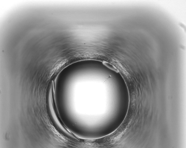 X0000093770585200710301207