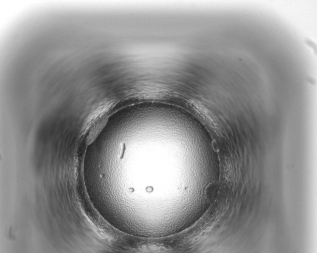 X0000093770586200710301207