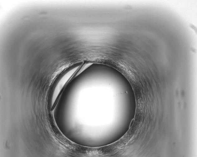 X0000093770587200710301207