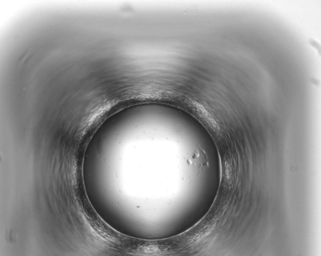 X0000093770588200710301207