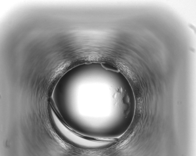 X0000093770589200710301207