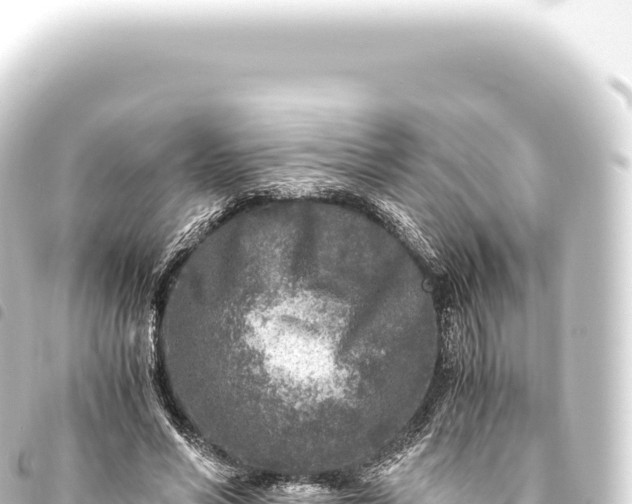 X0000093770590200710301207