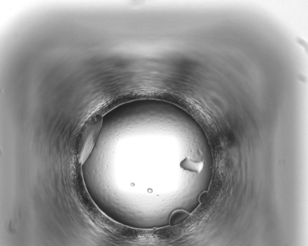 X0000093770591200710301207