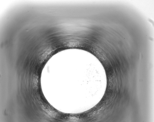 X0000093770592200710301207