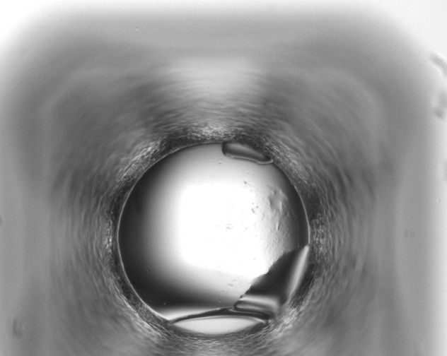 X0000093770593200710301207