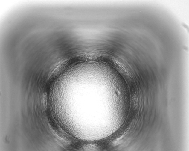 X0000093770594200710301207