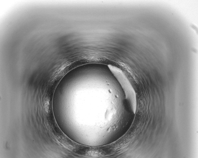 X0000093770596200710301207