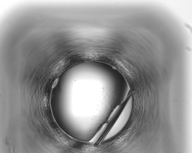 X0000093770597200710301207