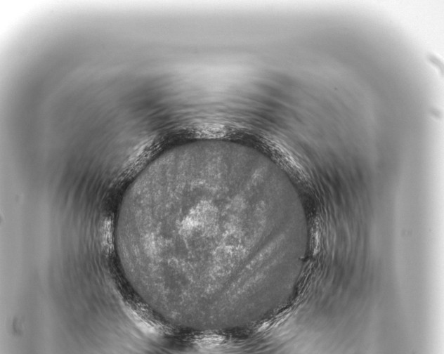 X0000093770598200710301207