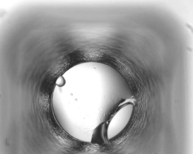 X0000093770599200710301207