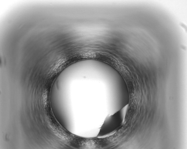 X0000093770600200710301207