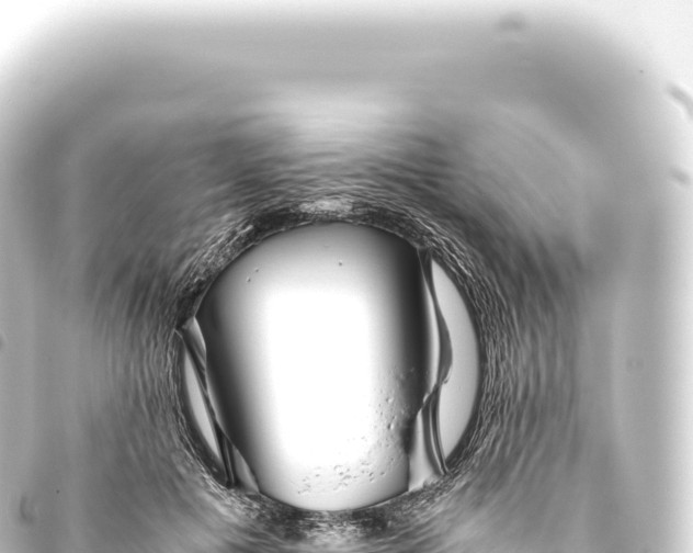 X0000093770601200710301207