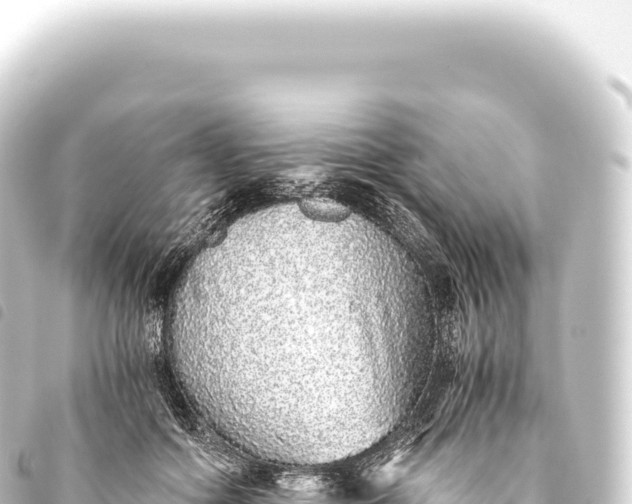 X0000093770602200710301207