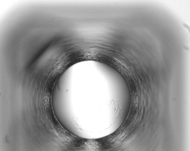 X0000093770603200710301207