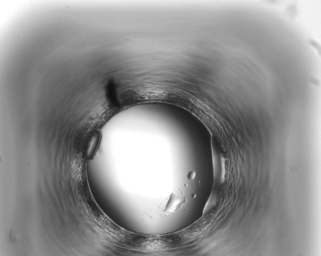 X0000093770604200710301207