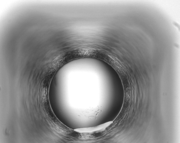 X0000093770605200710301207