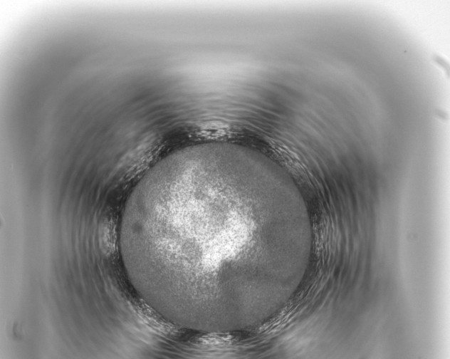 X0000093770606200710301207