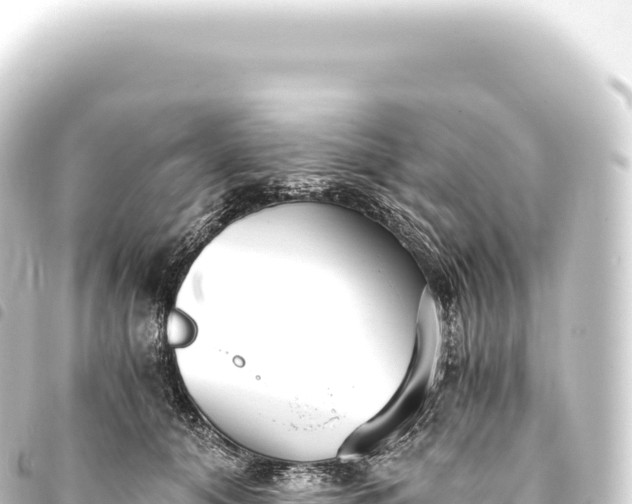 X0000093770608200710301207