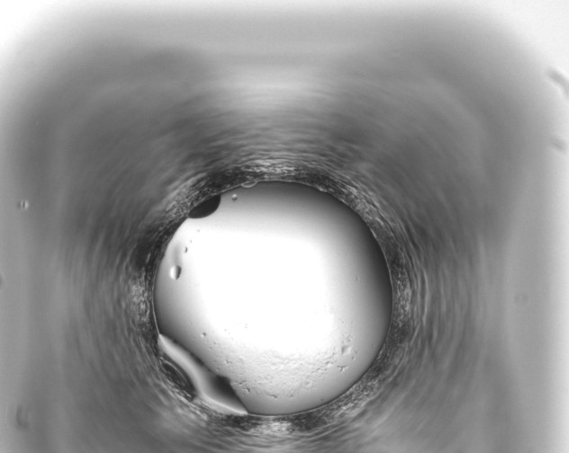 X0000093770609200710301207