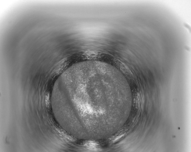 X0000093770610200710301207