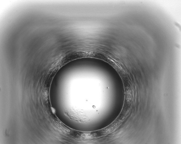 X0000093770613200710301207