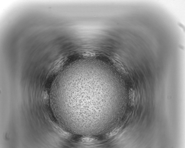 X0000093770614200710301207