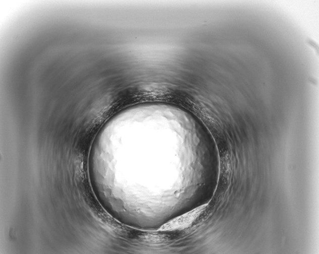 X0000093770615200710301207