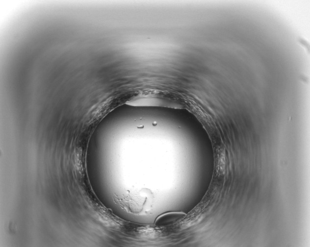 X0000093770616200710301207