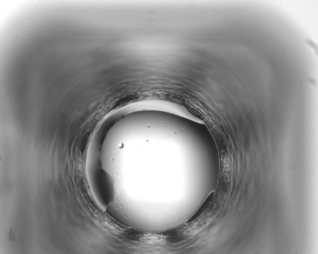 X0000093770617200710301207