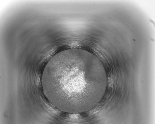 X0000093770618200710301207