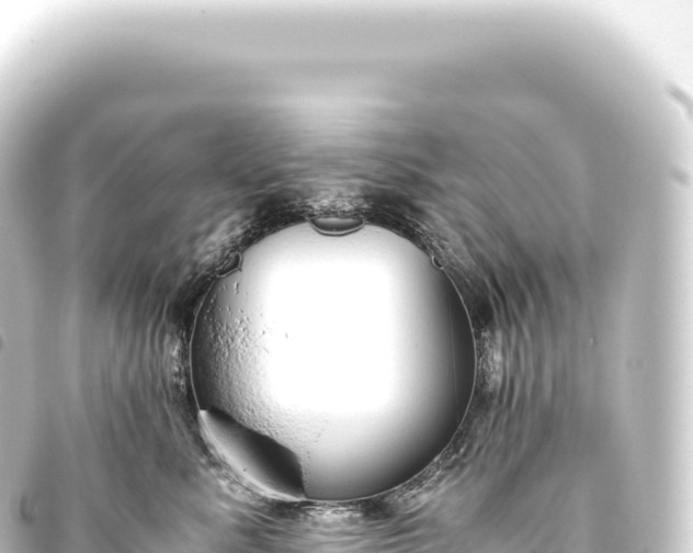 X0000093770619200710301207