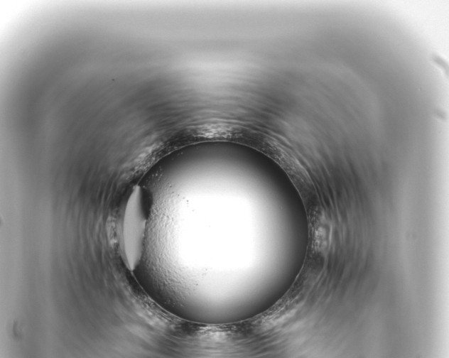 X0000093770620200710301207