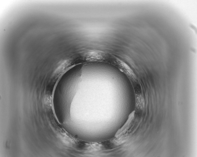 X0000093770621200710301206